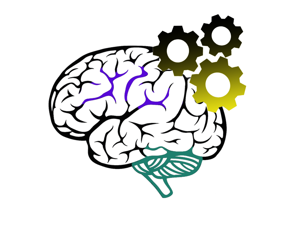 KLMS Logo